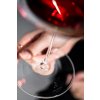 Sklenice na červené víno Bordeaux sada 2 kusy DUO  Zwiesel Glas