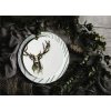 Dezertní talíř 23 cm LIFE NATURE DEER, zelená  Seltmann Weiden