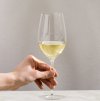 Telesto 400 ml Riesling r 1 2048x2049