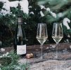 Auriga 380 ml Champagne zima scaled e1646346161406