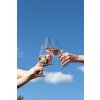 Schott Zwiesel MIO VINO Sklenice na červené víno, 4 kusy