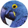 Podkladový talíř macaw OLHAR O BRASIL  Vista Alegre
