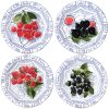 Dezertní talíře sada 4 různých kusů OISEAU BLEU FRUITS  Gien