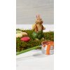 Villeroy & Boch Bunny Tales Paul