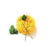 Mepra My Risotto Box