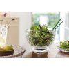 Mísa BOSTON  Villeroy & Boch