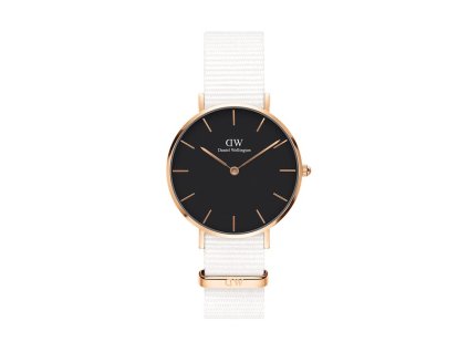 Hodinky DANIEL WELLINGTON model PETITE DOVER DW00100312