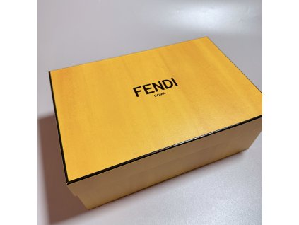 Fendi krabice 30x20,5x11 cm