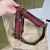 Gucci postroj pro psa vel. L