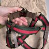 Gucci postroj pro psa vel. L