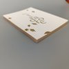 Dior J'adore notes