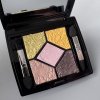 Dior stíny 451 4,5 g - vyzkoušené