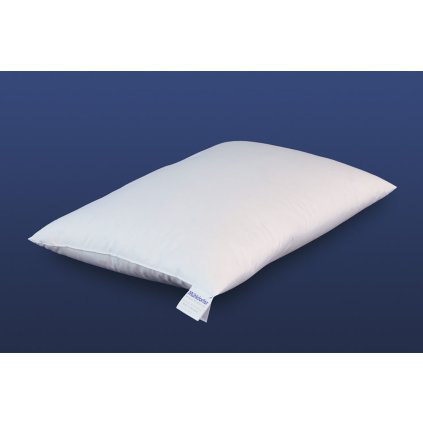 classic pillow