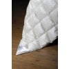Celoroční péřová přikrývka CARÉE 50% HEDVÁBÍ/50% BAVLNA +100% HUSÍ PÉŘOVÝ, SEIDENWEBER (- Velikost 240x220cm)