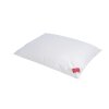 3 KOMOROVÝ PÉŘOVÝ TERMOREGULAČNÍ POLŠTÁŘ OUTLAST PROACTIVE NexGen MEDIUM HEFEL (- Velikost 80x80cm)