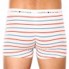 Pánské boxerky Tommy Hilfiger Trunk Print UM0UM02768 3Pack - mix barev