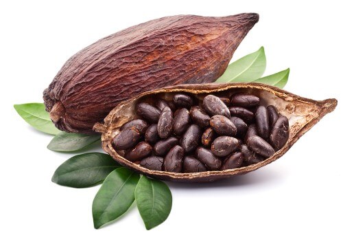 cocoa_beans2_500