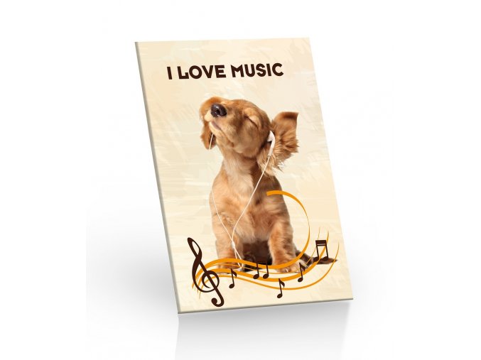 cok 20g I Love Music 3D leva