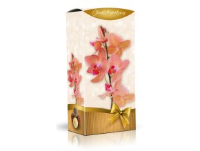 Lekovka VV lanyze orchidei 200g M