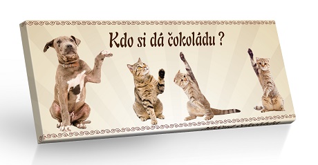 Kdo si dá čokoládu - mléčná čokoláda 100g