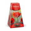 tulipany lanyze 200g cervene M