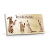 Cok SL K19 115 2 ML CHY Kto si da cokoladu SK M
