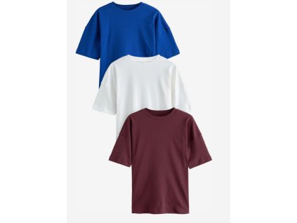 Snímek obrazovky 2025 12 22 134712