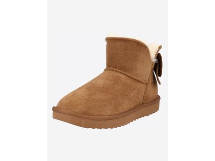 Snímek obrazovky 2025 12 22 132427