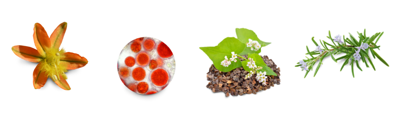 DE_co-je-uvnitr-serum