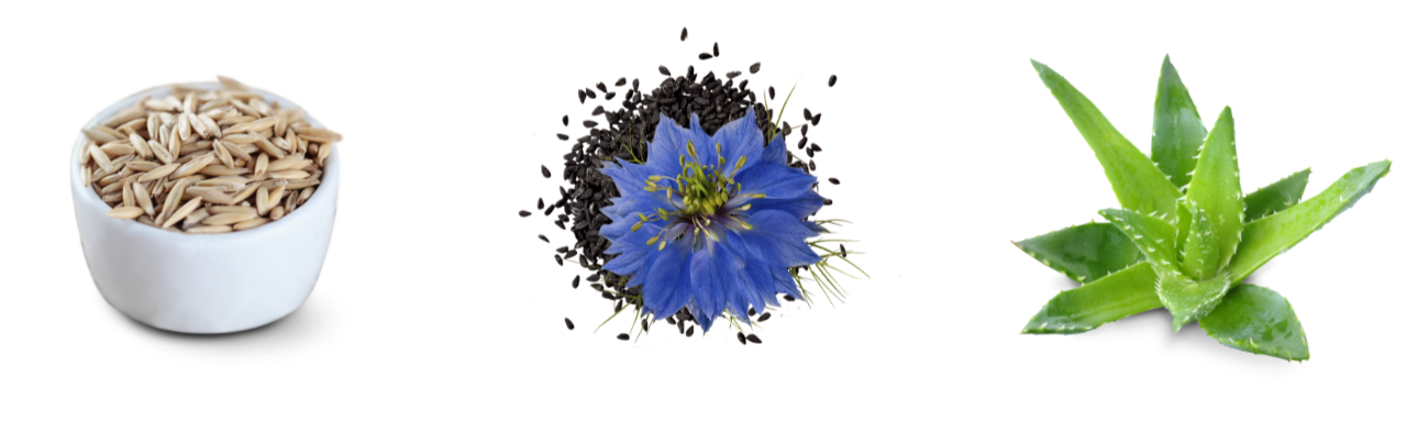 DE_co-je-uvnitr_body-lotion