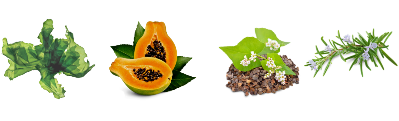 DE_co-je-uvnitr_essence