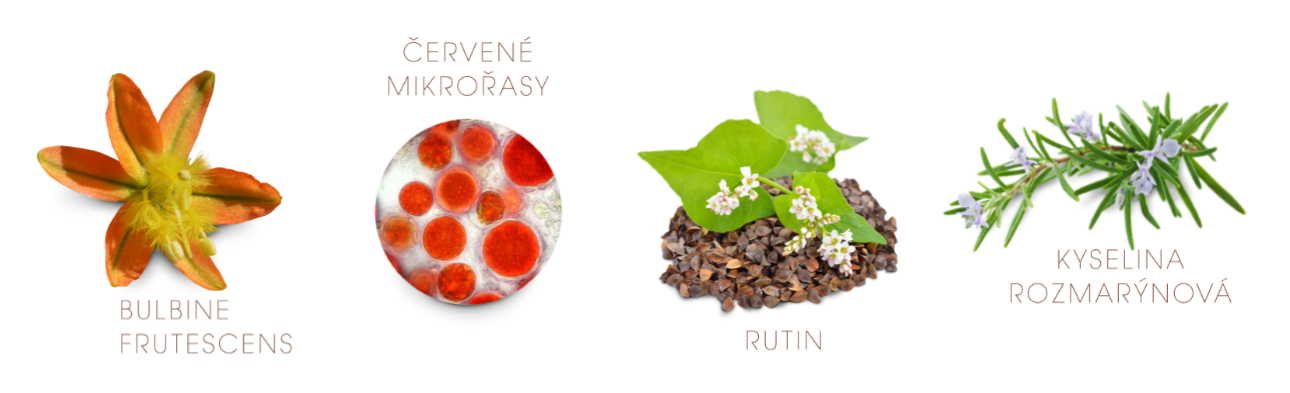 co-je-uvnitr-serum