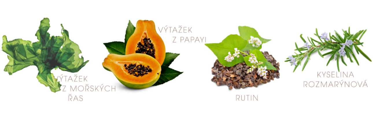 co-je-uvnitr_essence_1