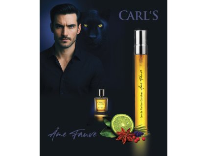 Promo MOTIV Parfem 10ml3 1