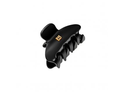 BalmainHair Accessories Pince Cheveux Small Black 01 800x800 189f