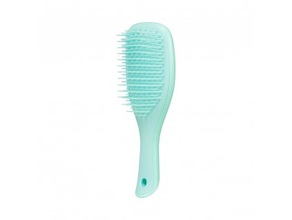 tangle teezer mini wet detangler sea green (1)