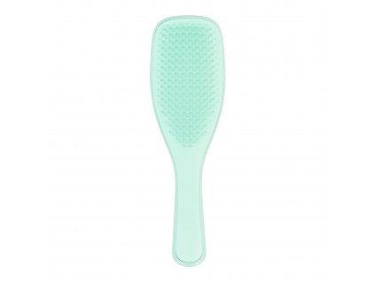 tangle teezer wet detangler fine fragile jade lagoon