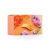 BalmainHair Accessoires LimitedEdition Printemps Leaf Barrette Pour Cheveux Box LE HJ PT BAR SS25 C2 2025
