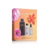 BalmainHair LimitedEdition Muse du Printemps Styling Set SS25 C2 25 Mood 03 Packshot