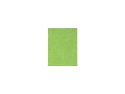 Sametové prostěradlo 180x200 - světle zelená