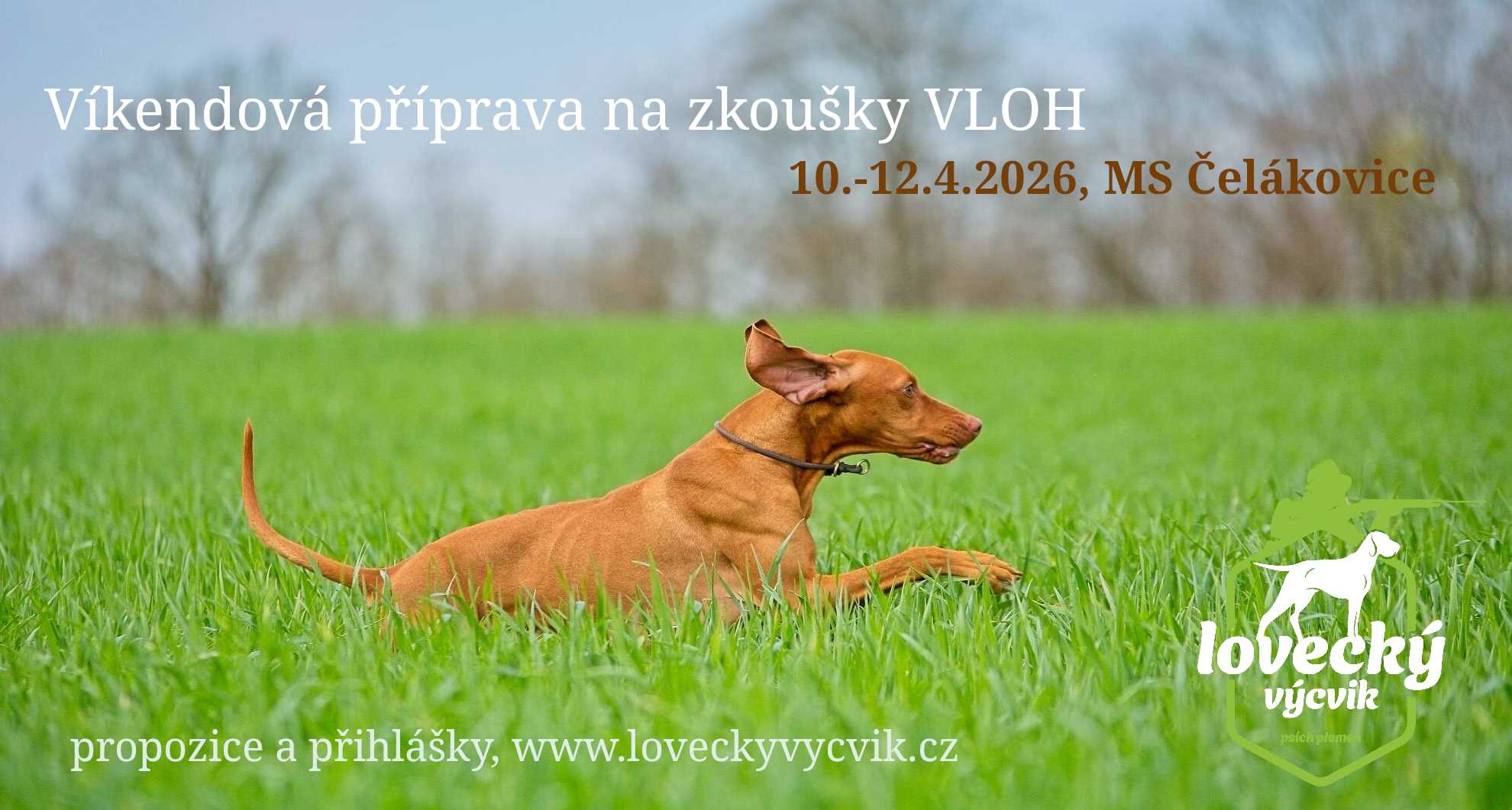 Příprava na zkoušky vloh.