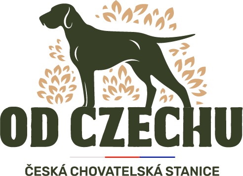 Od CZechu