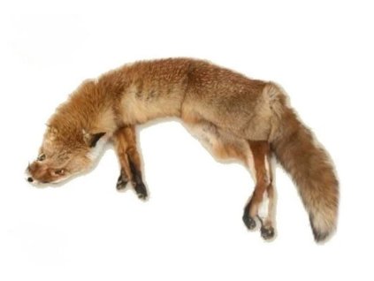 Bracco Aport Dummy Atrapa třídílný liščí celokožešinový 7kg