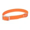 firedog biothane collar basic 25mm orange 44389