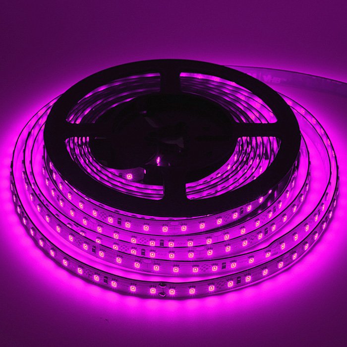 LED pásek fialový SC24126 24V 8W/m 126LED/m | Lxf.cz