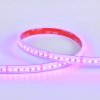 RGB LED pásek 24V | IP67 | 14,4W | 120LED | Premium