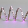 SC12120 7ZIG ZAG FUCHSIA 3