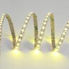 SC12120 7ZIG ZAG YELLOW 3