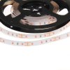 rust 12w ip20 60led rostlin pasek pro 12v led