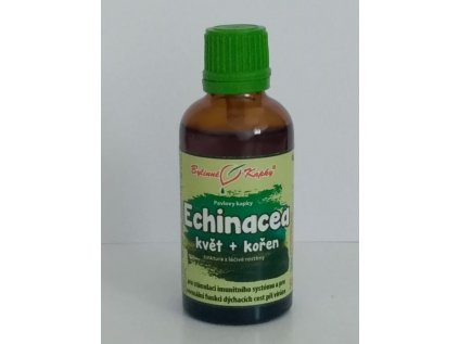 echinacea